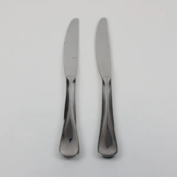Cambridge J-21 Stainless Steel Knives Set of 2 Modern Solid