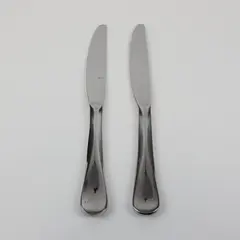 Cambridge J-21 Stainless Steel Knives Set of 2 Modern Solid