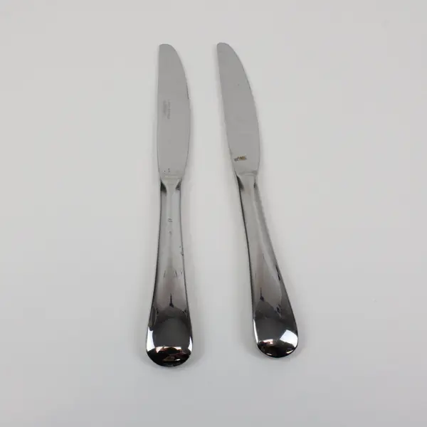Cambridge J-21 Stainless Steel Knives Set of 2 Modern Solid