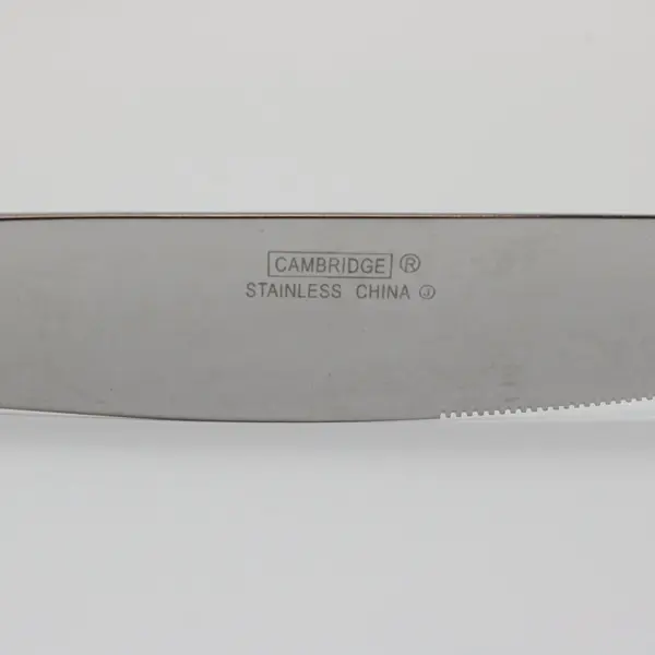 Cambridge J-21 Stainless Steel Knives Set of 2 Modern Solid