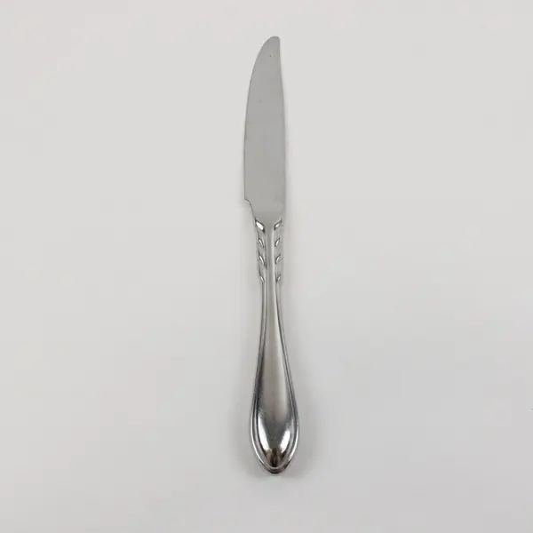 Farberware Stainless Steel Dinner Knife 9 Inch Flatware