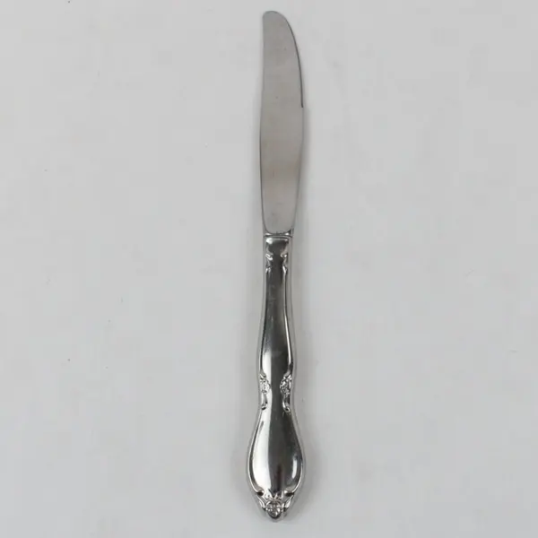 Oneida Chatelaine Stainless Modern Hollow Handle Dinner Knife