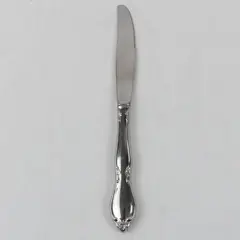 Oneida Chatelaine Stainless Modern Hollow Handle Dinner Knife
