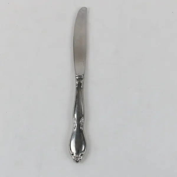 Oneida Chatelaine Stainless Modern Hollow Handle Dinner Knife