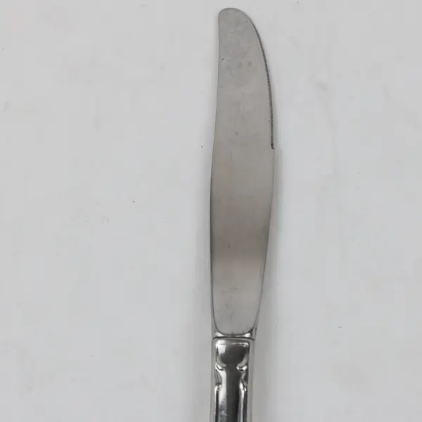 Oneida Chatelaine Stainless Modern Hollow Handle Dinner Knife