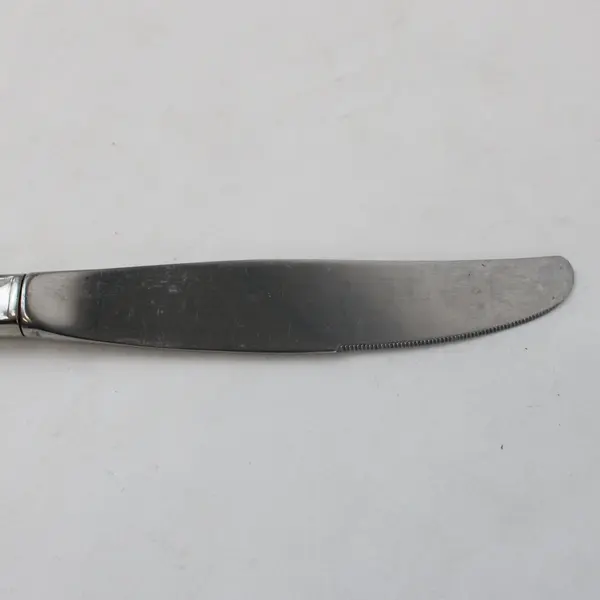 Oneida Chatelaine Stainless Modern Hollow Handle Dinner Knife