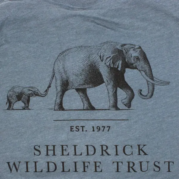Bella Canvas Sheldrick Wildlife Trust Blue T-Shirt Men's XL