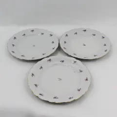 Winterling Remembrance 10 in Dinner Plates Set of 3 Bavaria Germany