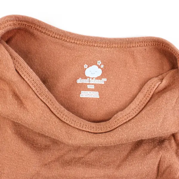 Lot of 2 Carter's Cloud Island Long Sleeve Bodysuits Brown Orange 18M