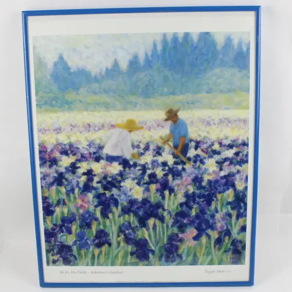 In the Iris Fields Peggy Moje Schreiner's Gardens 1999 Framed Picture