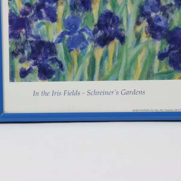 In the Iris Fields Peggy Moje Schreiner's Gardens 1999 Framed Picture