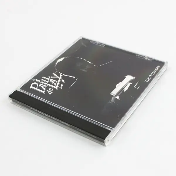 Paul DeLay Band The Other One Blues Music CD