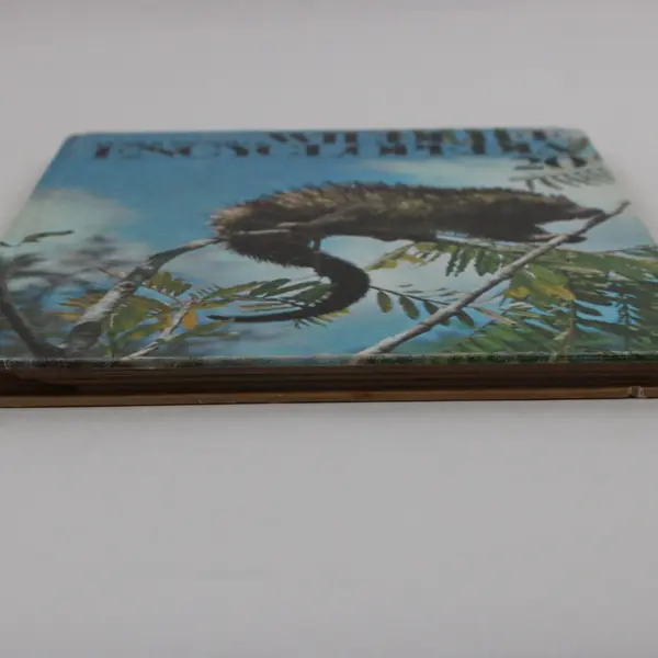 VTG Funk & Wagnalls Wildlife Encyclopedia Vol 20 TIG - VIS Hardcover 1974