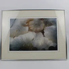 Dorothy Cutter Signed Numbered Framed Anemone Mouth & Shrimp Art Print 24x18