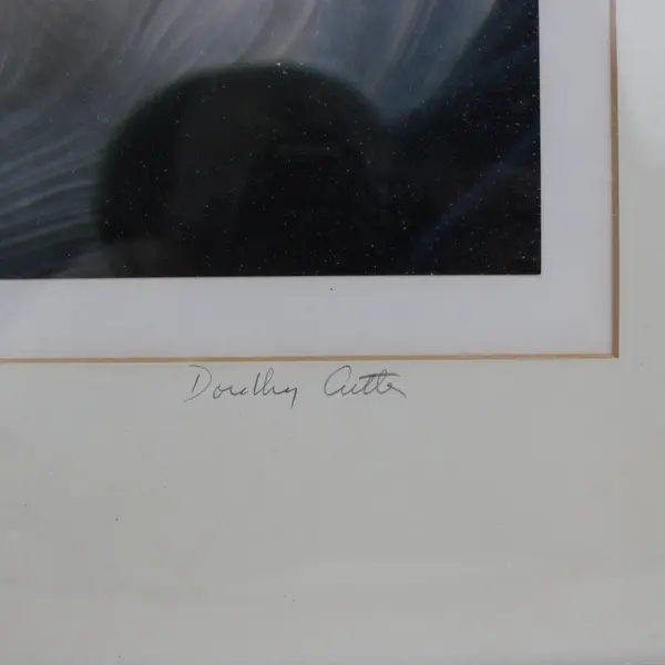 Dorothy Cutter Signed Numbered Framed Anemone Mouth & Shrimp Art Print 24x18