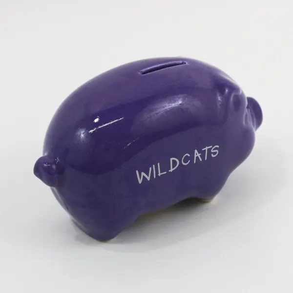 Linfield College Wildcats Purple Ceramic Piggy Bank