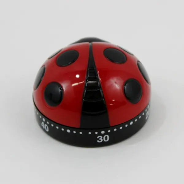 Hazel Mazel Plastic 1 Hour Ladybug Twist Timer