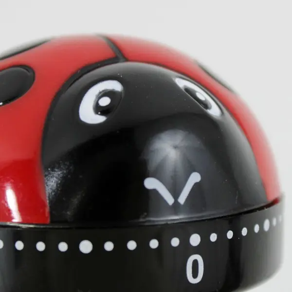 Hazel Mazel Plastic 1 Hour Ladybug Twist Timer