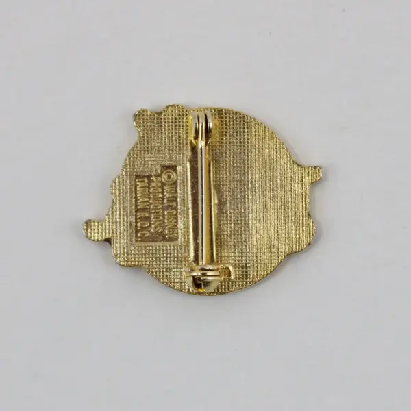 Disneyland Bear Country Jamboree Pin Disney Theme Park Collectible