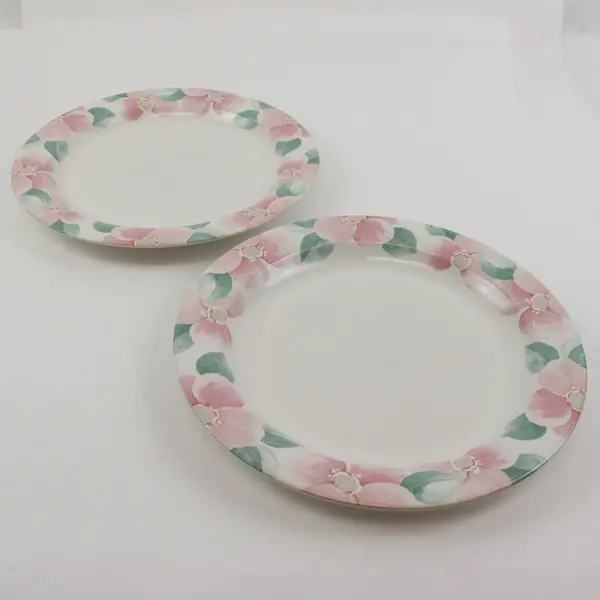Pfaltzgraff Garland Blush Dinner Plates Set of 2 10-1/4 Inch