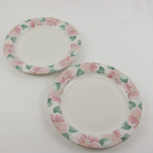 Pfaltzgraff Garland Blush Dinner Plates Set of 2 10-1/4 Inch