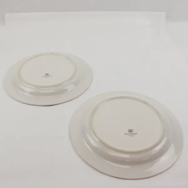 Pfaltzgraff Garland Blush Dinner Plates Set of 2 10-1/4 Inch