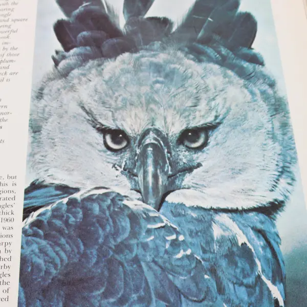 Funk & Wagnalls Wildlife Encyclopedia Vol 9 1974 Hardcover