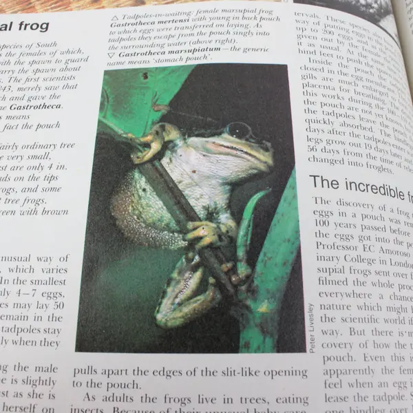 VTG Funk & Wagnalls Wildlife Encyclopedia Vol 12 Hardcover MAN - MUD 1974