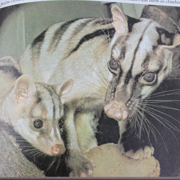 Funk & Wagnalls Wildlife Encyclopedia Vol 14 Hardcover 1974