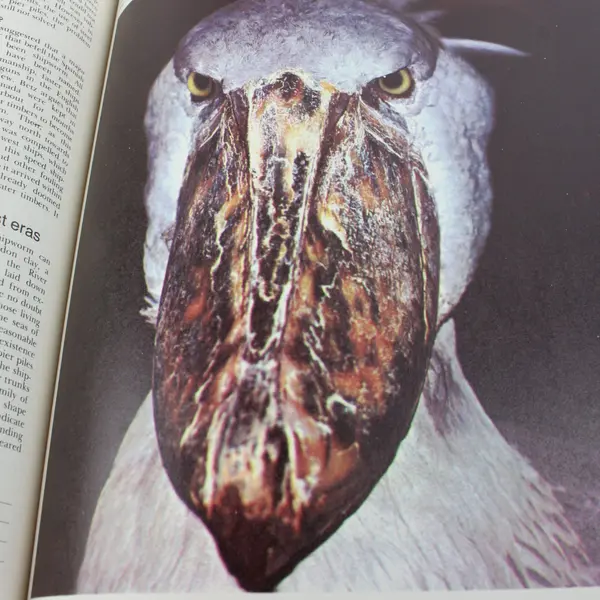 VTG Funk & Wagnalls Wildlife Encyclopedia Vol 17 SCA - SKU Hardcover 1974