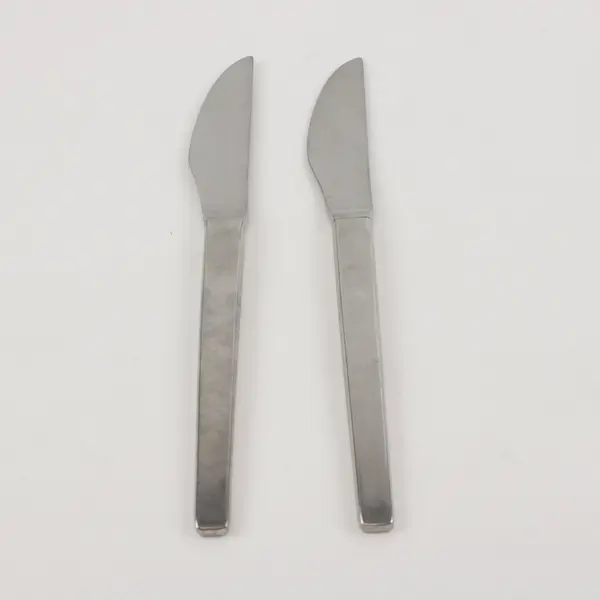WMF Stainless Steel Dinner Knives Set of 2