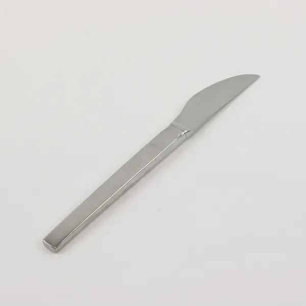 WMF Stainless Steel Dinner Knives Set of 2