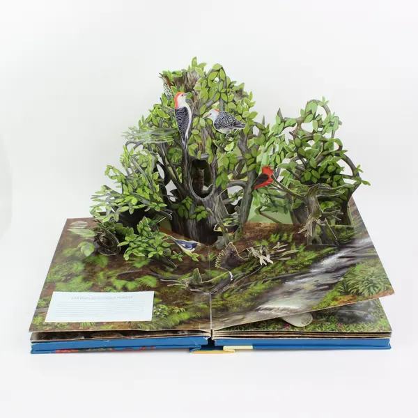 Birdscapes Pop-Up Celebration of Bird Songs Stereo Sound Miyoko Chu 2008 HC