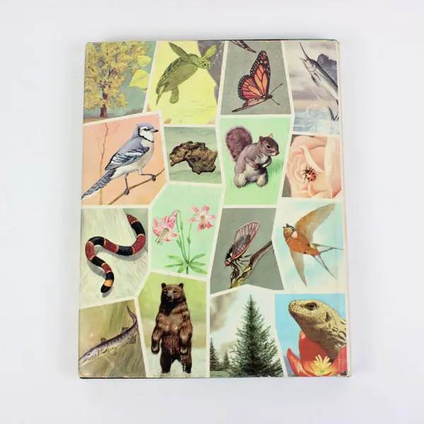 Hammond Nature Atlas Wildlife Species E.L. Jordan 1968 Hardcover 320 Paintings