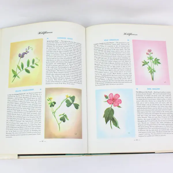 Hammond Nature Atlas Wildlife Species E.L. Jordan 1968 Hardcover 320 Paintings