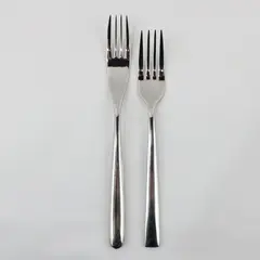 Lot of 2 Unknown Brand Stainless Steel Dinner Forks With Different Patterns