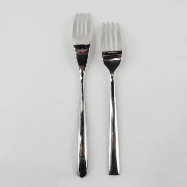 Lot of 2 Unknown Brand Stainless Steel Dinner Forks With Different Patterns