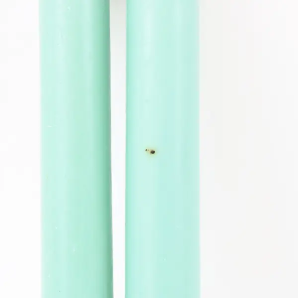 Mint Green Taper Candles Assorted Smooth Spiral Ribbed Set of 6