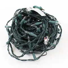 Champion Light Electric Co Ltd Warm White Incand String Lights 43' Green Cord