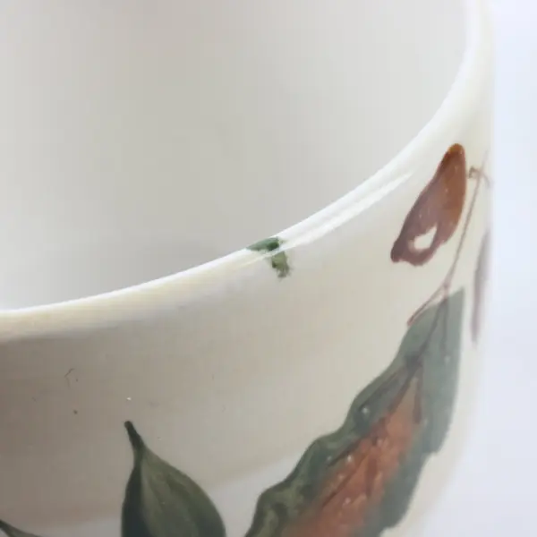 Royal Norfolk Fall Leaf Ceramic Coffee Mugs Set of 5