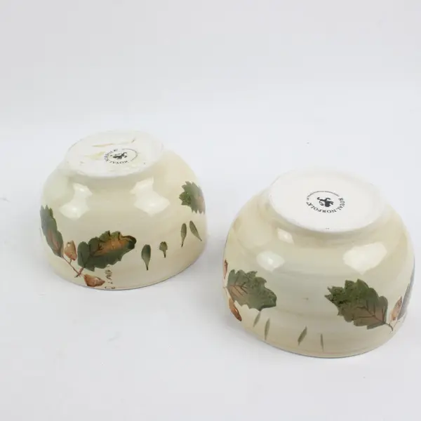 Royal Norfolk Set of 2 Ceramic Soup Bowls Autumn Fall Leaf