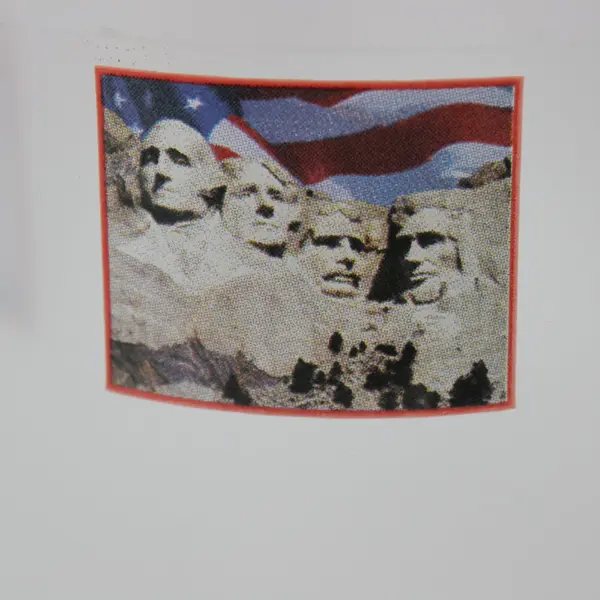 Mount Rushmore National Memorial Frosted Glass Coffee Mug