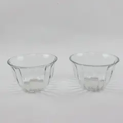 Set of 2 Clear Pressed Glass Bowls Paneled Flared Rim Salad Fruit