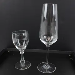 Lot of 2 Schott Zwiesel Liqueur Glass & Champagne Flute Stemware