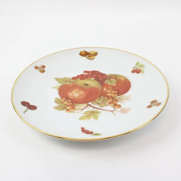 Mitterteich Bavaria Debra Fruit Motif Porcelain Salad Dessert Plate