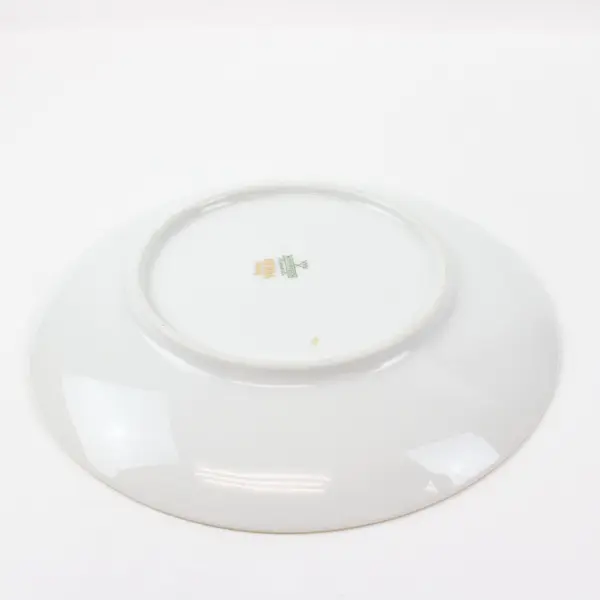 Mitterteich Bavaria Debra Fruit Motif Porcelain Salad Dessert Plate