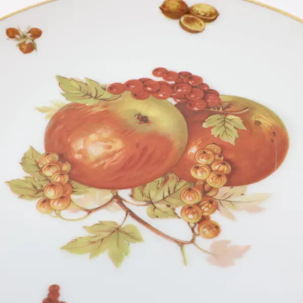 Mitterteich Bavaria Debra Fruit Motif Porcelain Salad Dessert Plate
