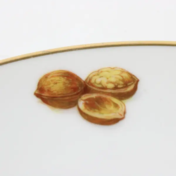 Mitterteich Bavaria Debra Fruit Motif Porcelain Salad Dessert Plate