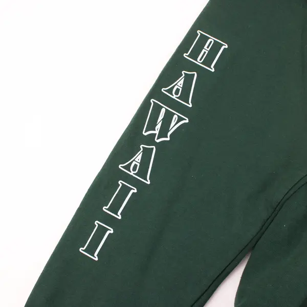 Hanes EcoSmart Green Honu Hawaii Hoodie Men's Medium