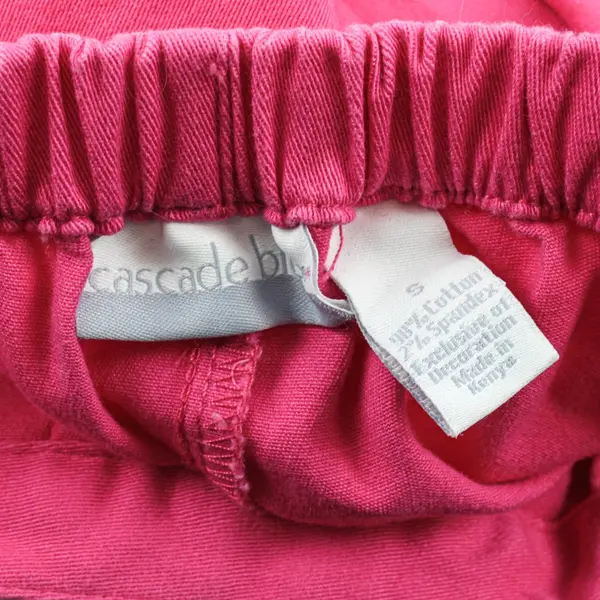 Cascade Blue Women's Small Pink Pull-On Pants Floral Embroidery NWT
